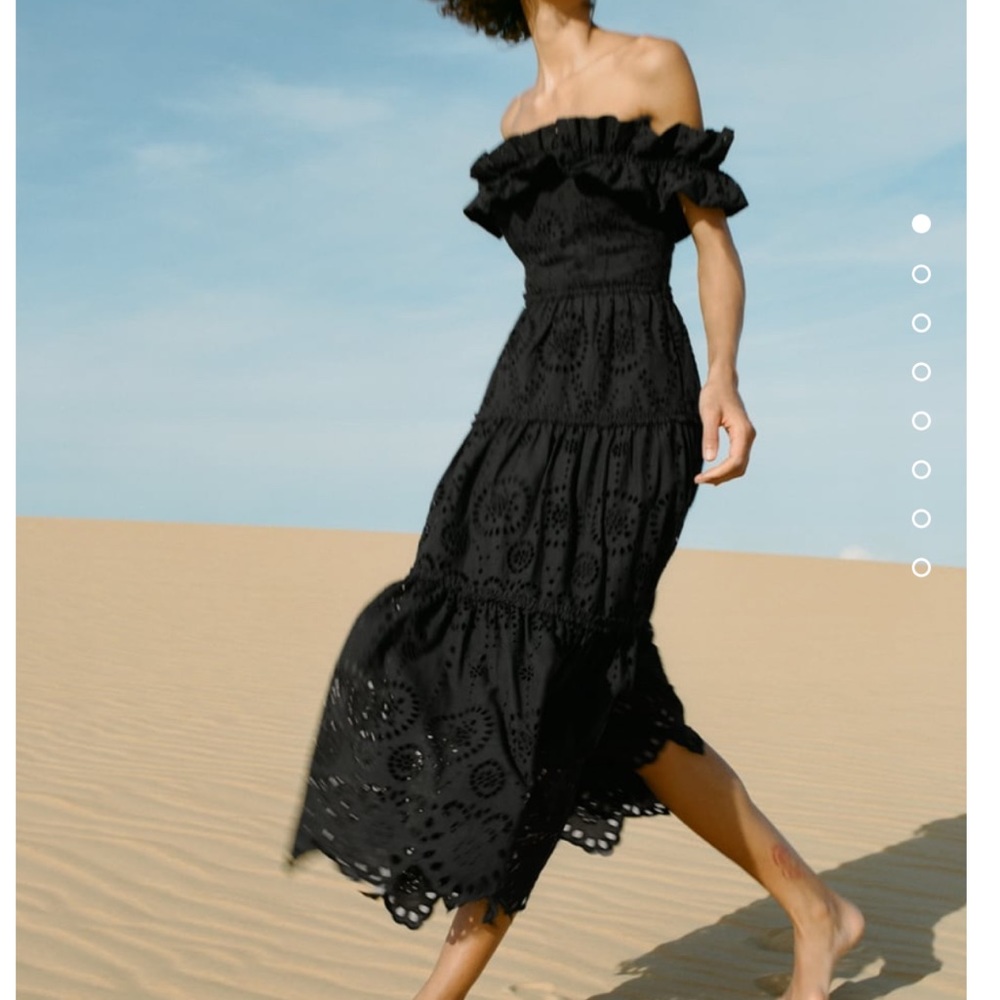 NWT Zara Embroidered Midi Dress